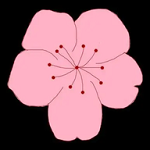 樱花直播APP应用